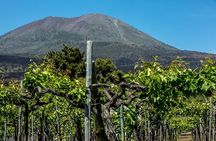 Pompeii with Wine Tasting and Lunch from Naples