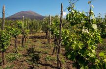 Pompeii with Wine Tasting and Lunch from Naples