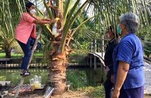 Meet Thai locals and tour Maeklong Railway Market with lunch