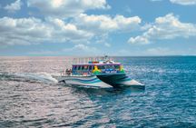 Vieques: Beach and Snorkeling Tour by Catamaran from Fajardo