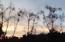 Private Water Village, Proboscis Monkey & Fireflies Tour