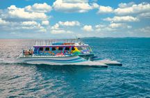 Vieques: Beach and Snorkeling Tour by Catamaran from Fajardo