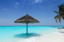 5 islands tour with Lunch Snorkeling and Plankton