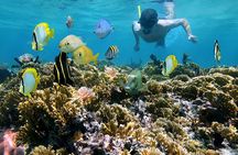 5 islands tour with Lunch Snorkeling and Plankton