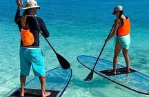 Paddle Board Experience in Turks & Caicos Islands