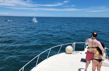 Private Whale Watching Tour – Viking 46ft Yacht | Pearl Islands