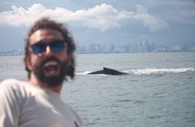 Private Whale Watching Tour – Viking 46ft Yacht | Pearl Islands