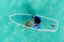 Paddle Board Experience in Turks & Caicos Islands