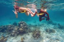 Boat Trip for Snorkeling Discovery of Corals