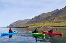 Private: Guided kayak tour in Siglufjörður / Siglufjordur.
