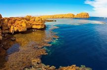 Full Day Snorkeling & Diving in Ras Mohammed National Park- sharm