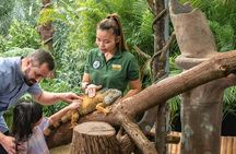 Morning at the Zoo with 1-way Transfer (Free & Easy)
