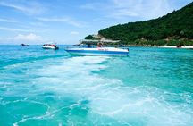 Cham Island Snorkeling Tour- Group Tour
