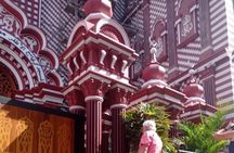 Colombo Shore Excursion to Panoramic Colombo with Kelaniya Temple