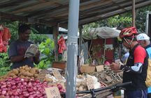 Suburbia cycling adventure surrounding wetlands and temples – Colombo Outskirts