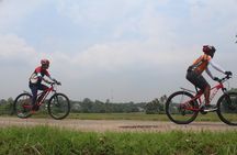 Suburbia cycling adventure surrounding wetlands and temples – Colombo Outskirts