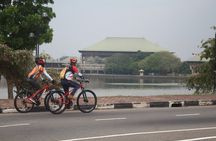 Suburbia cycling adventure surrounding wetlands and temples – Colombo Outskirts