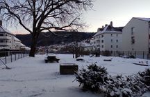 Half-Day Private Walking Tour in Bergen with Dinner and Funicular