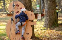 Children Daily Ticket for Adventure Park in Gravedona