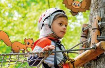 Children Daily Ticket for Adventure Park in Gravedona
