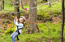 Children Daily Ticket for Adventure Park in Gravedona