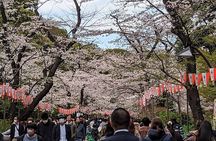Private Day Tour In Tokyo with a Native English Speaker