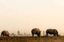 Nairobi National Park and Giraffe Center Day Tour