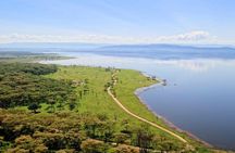 4-Day 3-Night Masai Mara and Nakuru National Park Guided Safari
