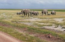 3 Days Maasai Mara Safari and Game Drive