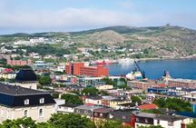 St. John's, Quidi Vidi Village & Signal Hill Small Group Tour