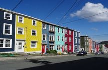 St. John's, Quidi Vidi Village & Signal Hill Small Group Tour