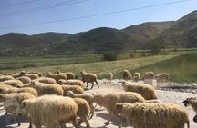 Outdoor Experience in Amantia Archeological Park & Brataj Bidge