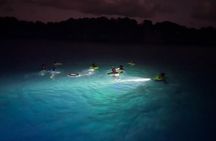 Night Snorkeling and Boat Experience with Appetizer and Drinks