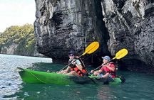 Kayaking Kilim Mangrove Geoforest