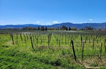 Sonoma and Napa Champagne Wine Private Tour Half Day 