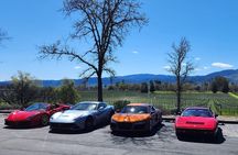 Sonoma and Napa Champagne Wine Private Tour Half Day 