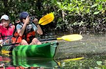 Kayaking Kilim Mangrove Geoforest