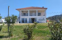 Olive oil tasting with seminar in Metagitsi - Halkidiki