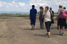 Private Day Tour to Masai Village in Tanzania