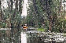 3 Hours of Kayaking at the Ancient Canals of Xochimilco