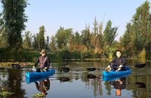 3 Hours of Kayaking at the Ancient Canals of Xochimilco