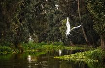 3 Hours of Kayaking at the Ancient Canals of Xochimilco