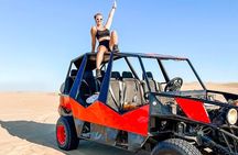 #1 Full Day Tour From Lima: Paracas and Huacachina Oasis