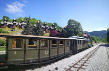 Mokra Gora & Zlatibor to Sargan 8 & Wooden Village Full Day Tour