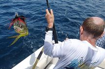 Private Sport Fishing – 27ft Proline | South Pearl Islands