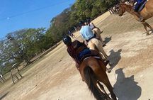 Private Horseback Riding with Blue Hole River Tour in Montego Bay
