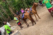 Private Horseback Riding with Blue Hole River Tour in Montego Bay