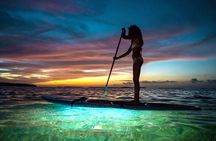 SUNSET GLOW TOUR PaddleBoard 