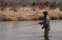 Half Day Private Walk Wade Guided Fly Fishing Jackson Hole