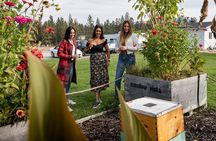 Kelowna E-Bike Bee Tour, Tastings, Organic Lunch & Audio Guide